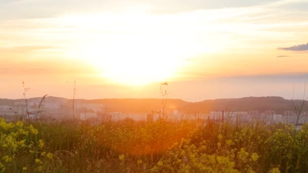 Due giovani sorelle carine corrono ad abbracciarsi — Video Stock