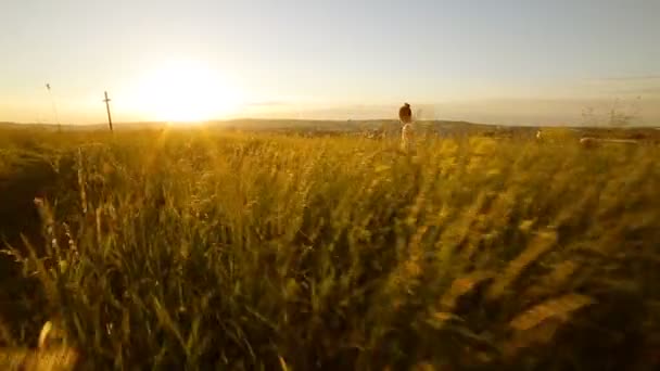 Young girl walking on the field to cross on sunset — Stock Video