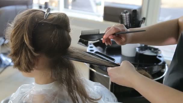 Coiffeur professionnel, styliste coloriage jeune fille cheveux — Video