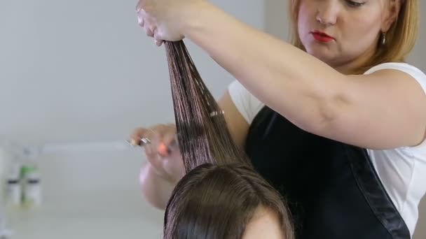 十几岁的女孩在美发沙龙中的客户端的美发师的梳理和切割头发 — 图库视频影像
