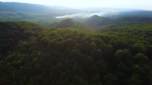 Luchtfoto van het beutiful van bos in Karpatian bergen — Stockvideo