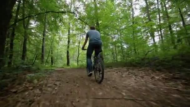 De weergave van gestage cam van man fiets rijden op bos weg — Stockvideo