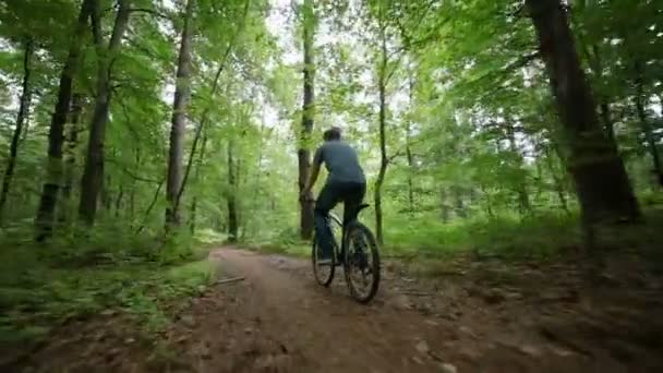 Устойчивый вид камеры на человека, катающегося на велосипеде по лесной дороге — стоковое видео