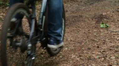 Sektörlerine adam uzakta ormanda rides