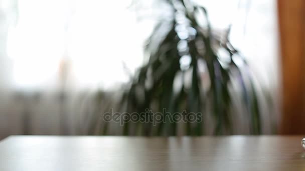 Half empty beer mug on table — Stock Video