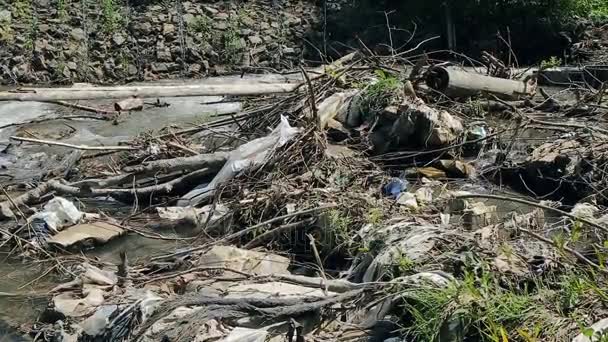 污染的山区河流。塑料垃圾在树枝上 — 图库视频影像