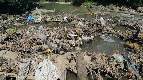 污染的山区河流。塑料垃圾在树枝上 — 图库视频影像