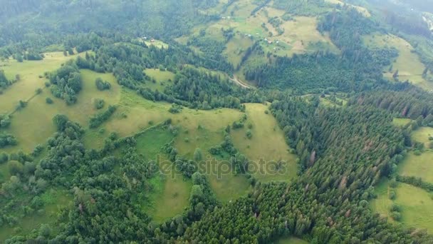 Aerial tiro casas solitarias en el campo en prado verde cerca del bosque en las montañas — Vídeo de stock