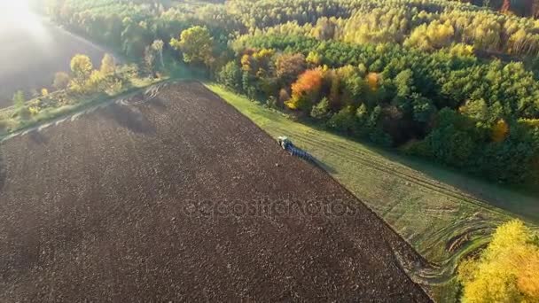 Luftaufnahme eines Traktors, der schwarzen Boden in der Nähe des Waldes pflügt. Herbstsonnenuntergang. — Stockvideo