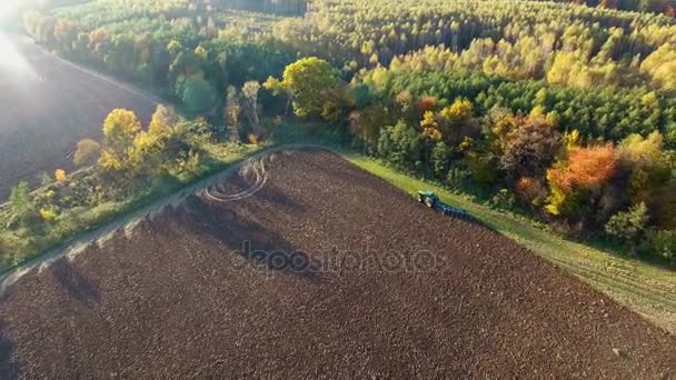 Luftaufnahme eines Traktors, der schwarzen Boden in der Nähe des Waldes pflügt. Herbstsonnenuntergang. — Stockvideo