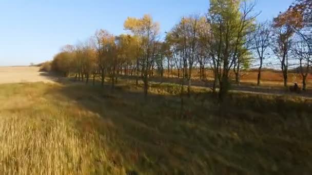 Genç adam sonbahar günbatımı motosiklet binme yakın havadan görünümü — Stok video