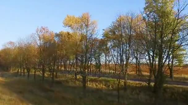 Luftudsigt tæt på ung mand i hvid hjelm ridning motorcykel ved efteråret solnedgang – Stock-video