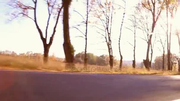 Steadycam tiro de motociclista dirigindo sua moto na estrada durante o pôr do sol — Vídeo de Stock