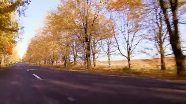 Steadycam shot of motorcyclist driving his motorbike on the road during sunset — Stock Video