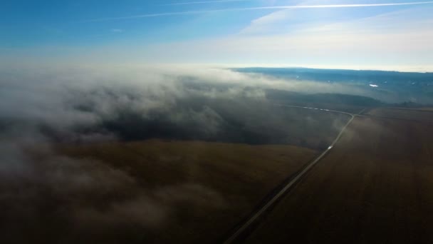 Tiro aéreo de niebla sobre el campo — Vídeos de Stock