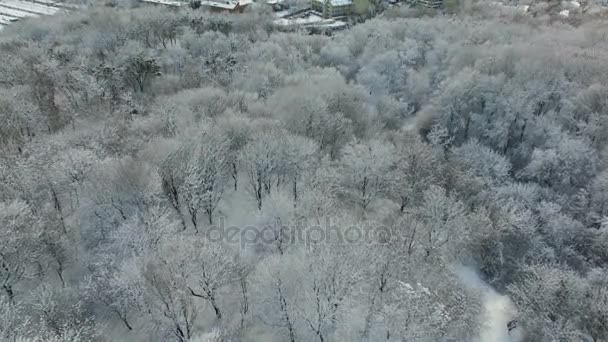 空中ショット: 雪に覆われた美しい冬の公園. — ストック動画