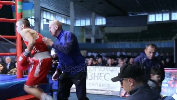 Lviv Ukraine Novembro 2017 Torneio Boxe Boxer Sai Para Ringue — Vídeo de Stock