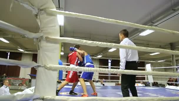 Lviv Ukraine Novembro 2017 Torneio Boxe Boxers Lutam Ringue Boxe — Vídeo de Stock