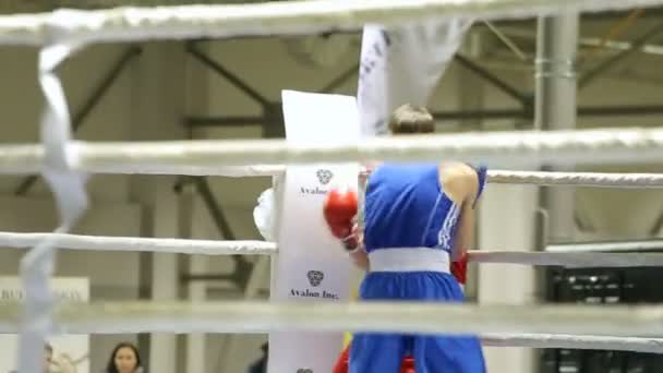 LVIV, UKRAINE - 14 de novembro de 2017 Torneio de boxe. Boxers lutam no ringue de boxe no torneio — Vídeo de Stock