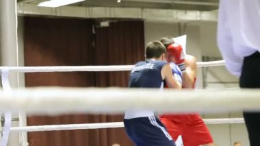 Lviv, Ukrayna - 14 Kasım 2017 turnuva boks. Boksörler boks halka turnuva üzerinde mücadele.