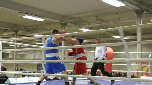 Lviv Ukraine November 2017 Boxturnier Boxer Kämpfen Boxring Auf Turnier — Stockvideo