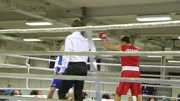 Lviv Ukraine November 2017 Boxturnier Boxer Kämpfen Boxring Auf Turnier — Stockvideo