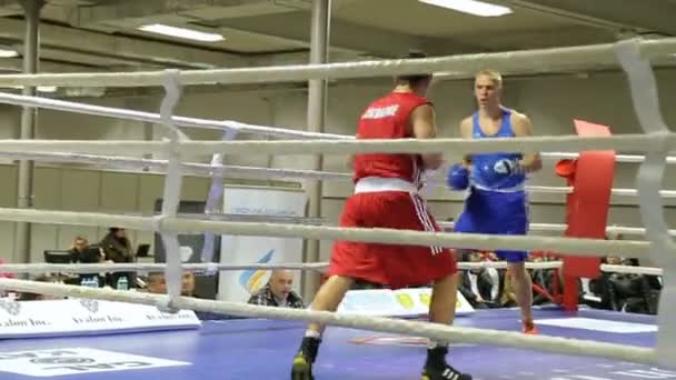 Lviv Ukraine November 2017 Boxturnier Boxer Kämpfen Boxring Auf Turnier — Stockvideo