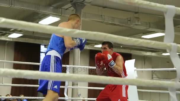 Lviv Ukraine Novembro 2017 Torneio Boxe Boxers Lutam Ringue Boxe — Vídeo de Stock