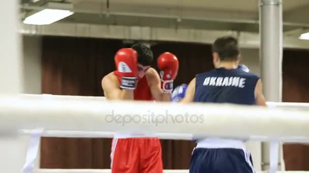 Lviv Ukraine Novembro 2017 Torneio Boxe Boxers Lutam Ringue Boxe — Vídeo de Stock