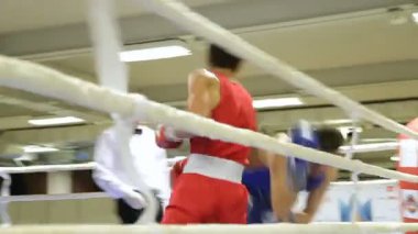 Lviv, Ukrayna - 14 Kasım 2017 turnuva boks. Boksörler boks halka turnuva üzerinde mücadele.