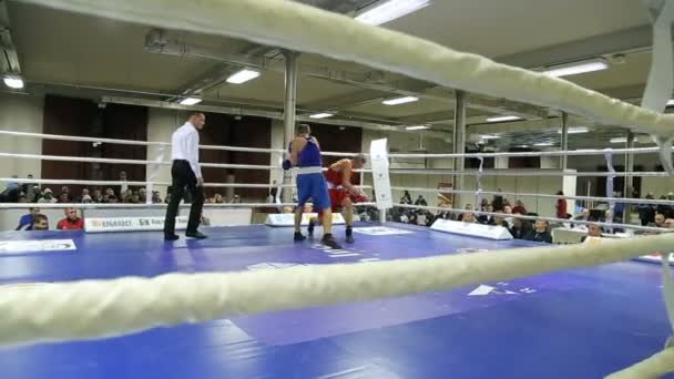 リヴィウ ウクライナ 2017 日ボクシングのトーナメント ボクサーは 大会でボクシングのリングで戦います 定常カム撮影 — ストック動画