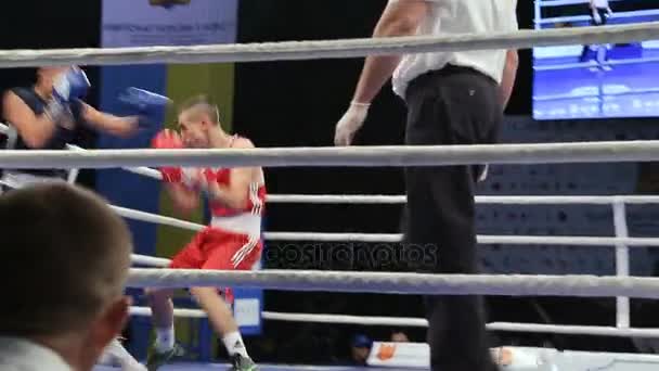 Lviv Ukraine November 2017 Boxturnier Leichtgewichts Boxer Kämpfen Boxring Auf — Stockvideo