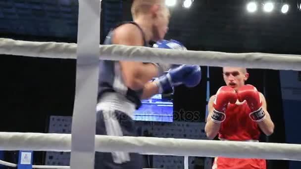 Lviv Ukraine November 2017 Boxturnier Leichtgewichts Boxer Kämpfen Boxring Auf — Stockvideo