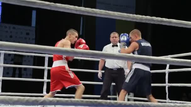 リヴィウ ウクライナ 2017 日ボクシングのトーナメント 軽量のボクサーは 大会でボクシングのリングで戦います ステディカム ショット — ストック動画