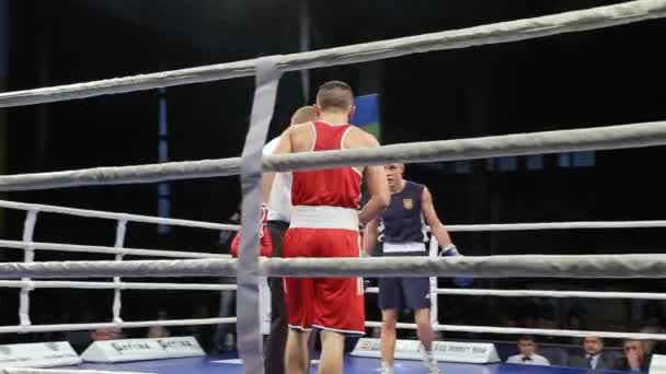 Lviv Ukraine November 2017 Boxturnier Leichtgewichts Boxer Kämpfen Boxring Auf — Stockvideo