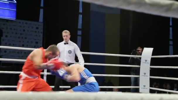 リヴィウ ウクライナ 2017 日ボクシングのトーナメント Midweight のボクサーは 大会でボクシングのリングで戦います ステディカム ショット — ストック動画