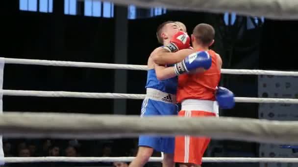 Lviv Ukraine November 2017 Boxturnier Mittelgewichts Boxer Kämpfen Boxring Ein — Stockvideo