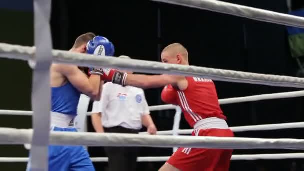 利沃夫 乌克兰 2017年11月14日拳击锦标赛 轻量级拳击手把对手击倒在拳击圈中 — 图库视频影像