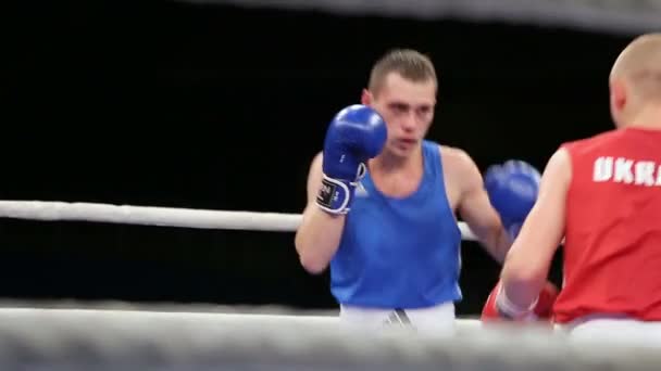 Lviv Ukraine November 2017 Boxturnier Leichtgewichts Boxer Kämpfen Boxring Auf — Stockvideo