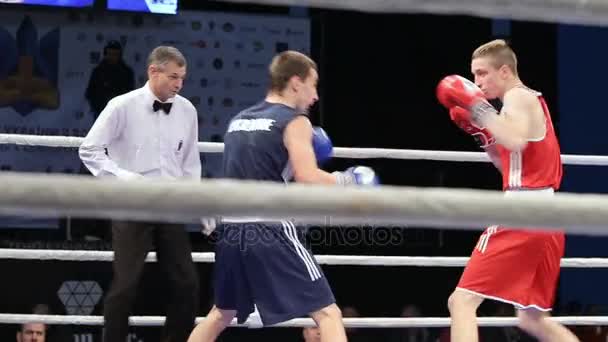 Lviv Ukraine November 2017 Boxturnier Mittelgewichts Boxer Kämpfen Bei Turnier — Stockvideo