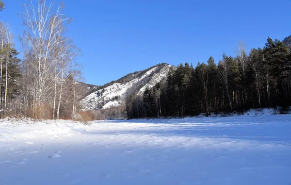 Wunderschöne Winterlandschaft Berge Und Birken Sibirien Chakassien — Stockfoto