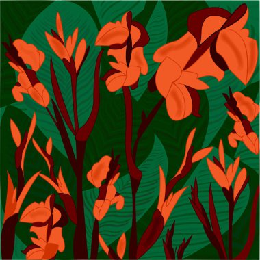 traliche, çilek tropikal bitki, turuncu çiçek