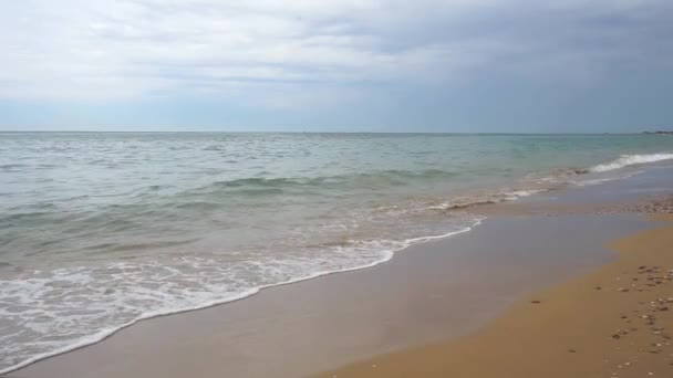 Dziewczyna biegnące wzdłuż plaży (tył) — Wideo stockowe