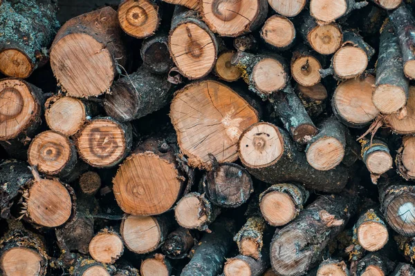 Ahşap arka plan ağaç yapısını