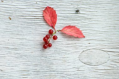 Kırmızı yaprakları ve bariyer gri bir ahşap zemin üzerine