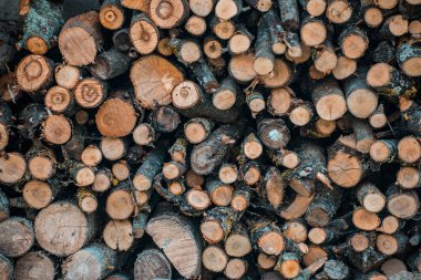 yakacak odun, ahşap Sunta Boyutlanmış kereste kesme