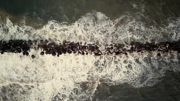 海波浪对海岸线鸟瞰图在暴风雨的一天 — 图库视频影像
