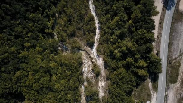 Маленькая река и горная дорога в лесу — стоковое видео