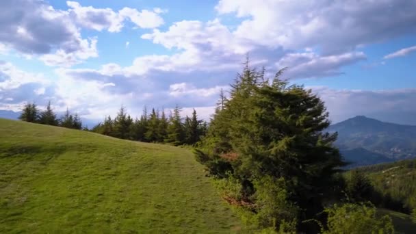 Sobrevolando montañas y bosques — Vídeos de Stock