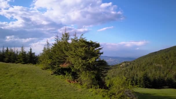 Sobrevolando montañas y bosques — Vídeo de stock